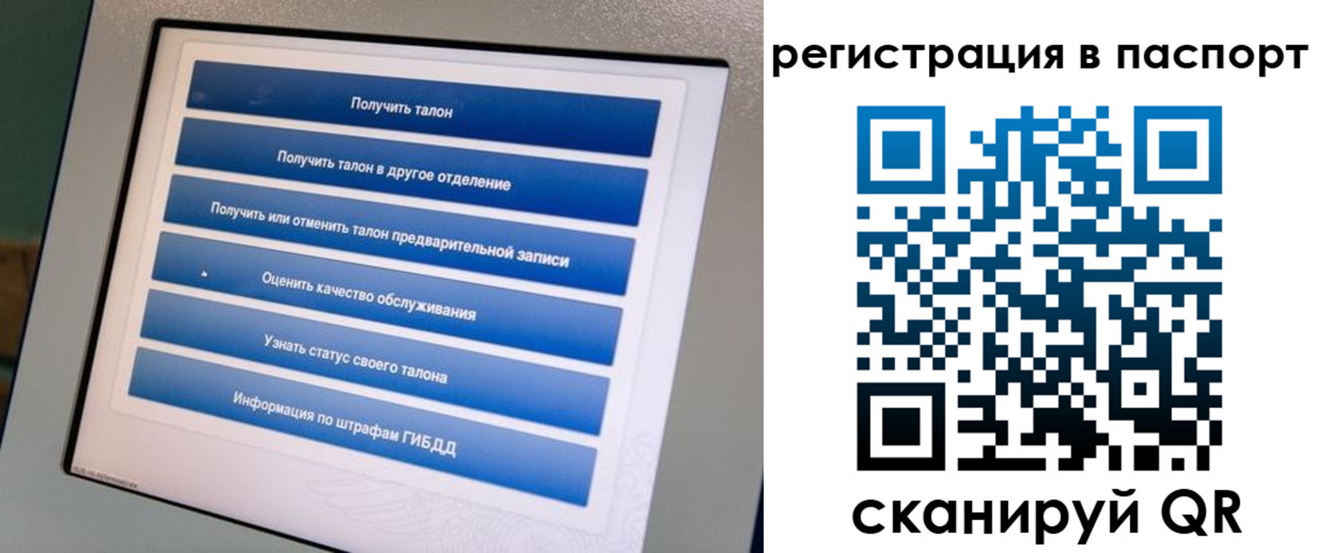 временная регистрация адрес в Петропавловске-Камчатском